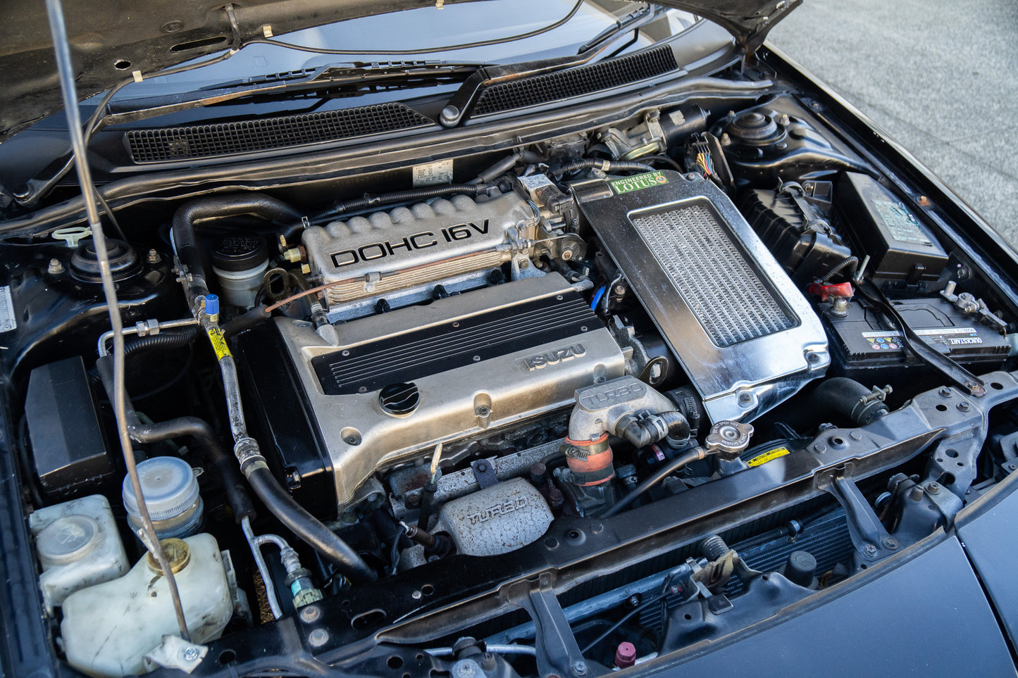 Isuzu PA Nero R - Irmscher - 1991