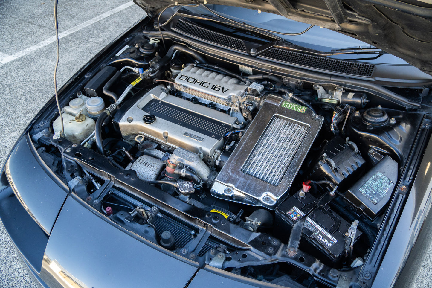 Isuzu PA Nero R - Irmscher - 1991