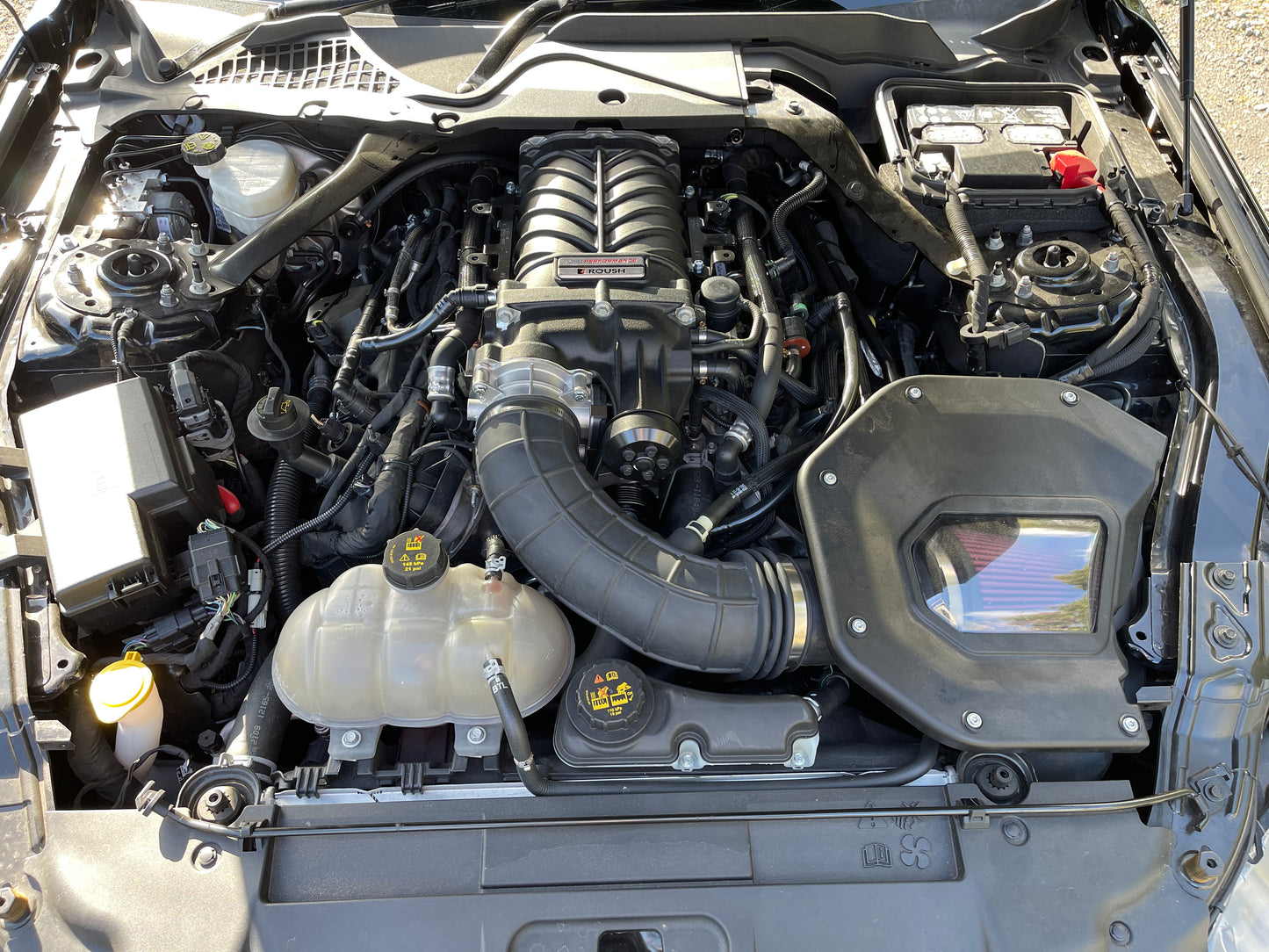 Ford Mustang Fastback 2019 - Supercharged